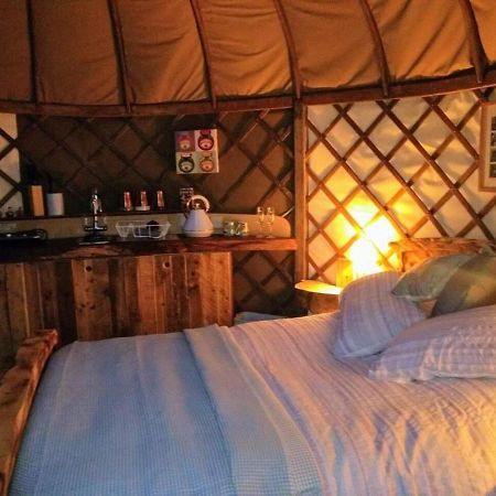 Bembridge Harbour Yurt - Log Burner - Wifi Villa ภายนอก รูปภาพ