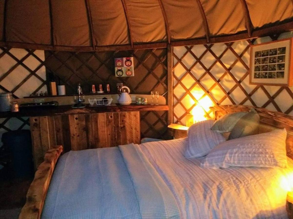 Bembridge Harbour Yurt - Log Burner - Wifi Villa ภายนอก รูปภาพ